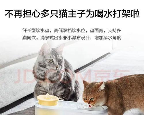 如何防止猫饮水机发霉（有效的清洁和维护方法）