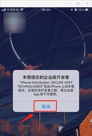 揭示未受信任的企业级开发者的风险与应对方法（构建可信任的企业级开发者生态系统）